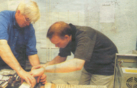 Mekker for millioner